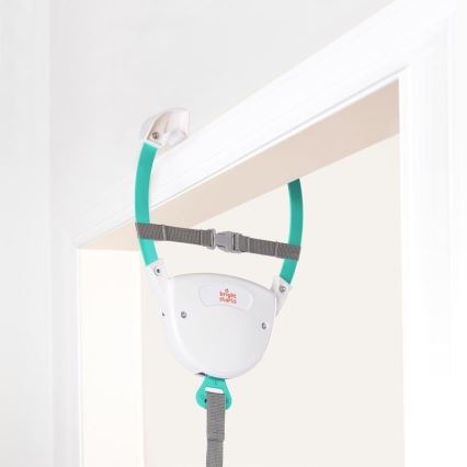 Bright Starts - Doorway Jumper PLAYFUL PARADE