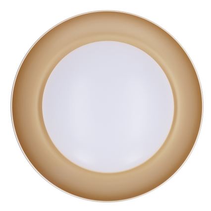 Brilagi - ALVA Dimmable LED Ceiling Light LED/48W/230V 3000-6500K Ø 51 cm White + Remote Control