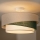 Brilagi - ARROW Flush-Mount Ceiling Light 1x E27/60W/230V, Ø45 cm, Beige/Green/White