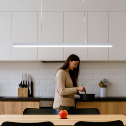 Brilagi - AXIS Cable-Suspended LED Pendant Light, 30W, 230V, 120 cm, White