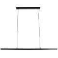 Brilagi - AXIS LED Pendant on Cable, 30W/230V, Black