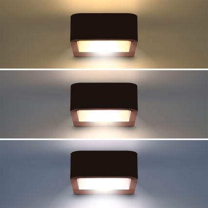 Brilagi - BARI LED Outdoor Wall Light LED/7W/230V 3000/4000/6000K Brown IP54