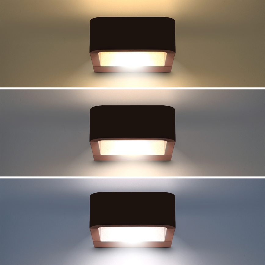 Brilagi - BARI LED Outdoor Wall Light LED/7W/230V 3000/4000/6000K Brown IP54