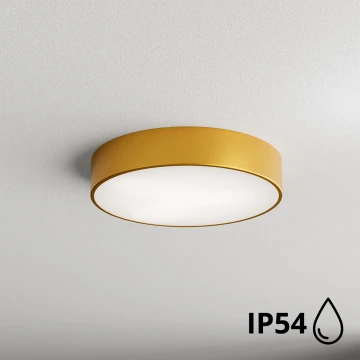 Brilagi - Bathroom ceiling light CLARE 2xE27/24W/230V d. 40 cm IP54 gold