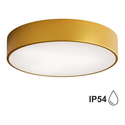 Brilagi - Bathroom ceiling light CLARE 2xE27/24W/230V d. 40 cm IP54 gold