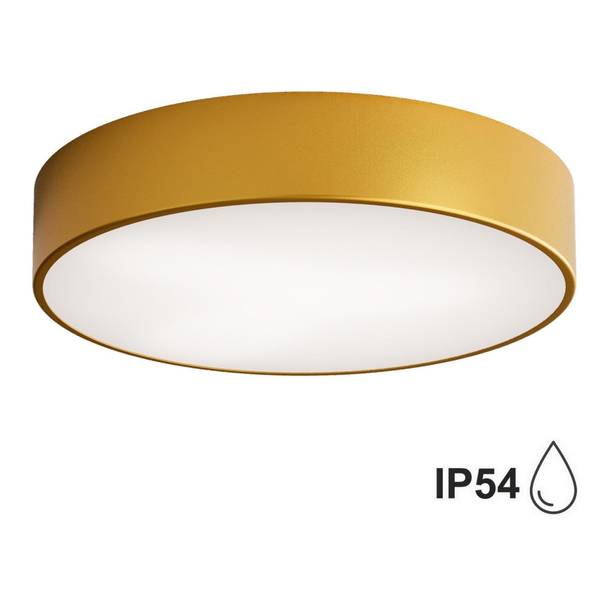 Brilagi - Bathroom ceiling light CLARE 2xE27/24W/230V d. 40 cm IP54 gold