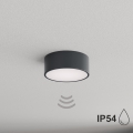 BRILAGI - Bathroom ceiling light with motion and dusk sensor CLARE 1xE27/24W/230V Ø 20 cm anthracite IP54