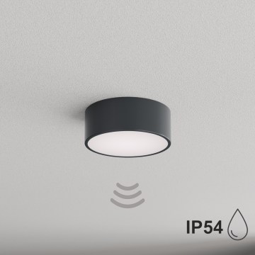 BRILAGI - Bathroom ceiling light with motion and dusk sensor CLARE 1xE27/24W/230V Ø 20 cm anthracite IP54