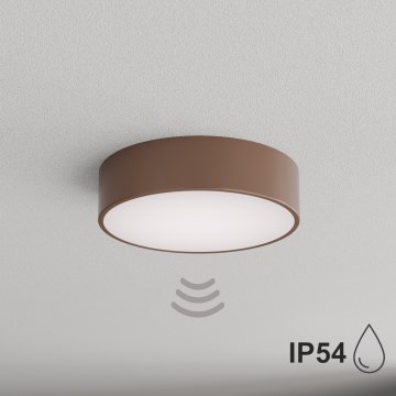 BRILAGI - Bathroom ceiling light with motion and dusk sensor CLARE 2xE27/24W/230V dia. 30 cm brown IP54