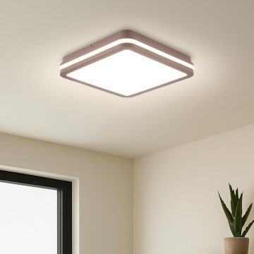 Brilagi - BENE LED Outdoor Ceiling Light LED/24W/230V 26x26 cm Brown IP54