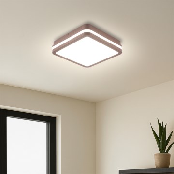 Brilagi - BENE LED Outdoor Ceiling Light with Sensor, LED/18W/230V, 21.5x21.5 cm, Brown, IP54