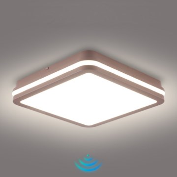 Brilagi - BENE LED Outdoor Ceiling Light with Sensor, LED/24W/230V, 26x26 cm, Brown, IP54
