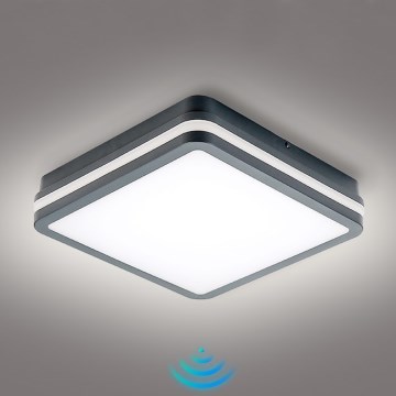 Brilagi - BENE LED Outdoor Light with Motion Sensor, 24W/230V, 26x26 cm, Anthracite, IP54