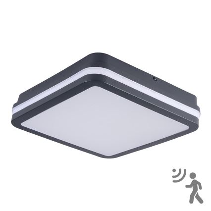 Brilagi - BENE LED Outdoor Light with Motion Sensor, 24W/230V, 26x26 cm, Anthracite, IP54