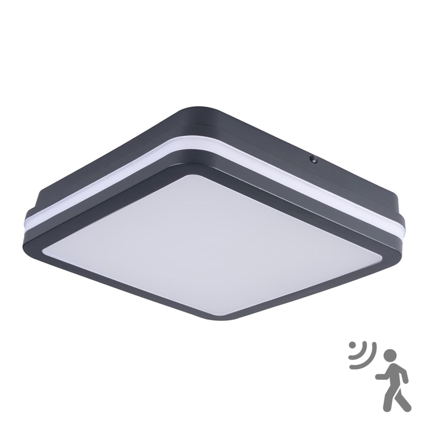 Brilagi - BENE LED Outdoor Light with Motion Sensor, 24W/230V, 26x26 cm, Anthracite, IP54