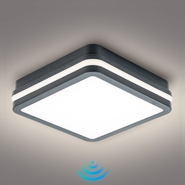 Brilagi - BENE LED Outdoor Light with Sensor LED/18W/230V 22x22 cm Anthracite IP54