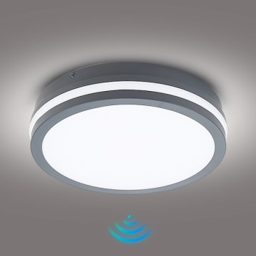 Brilagi - BENE LED Outdoor Luminaire with Sensor LED/24W/230V Ø 26 cm Anthracite IP54