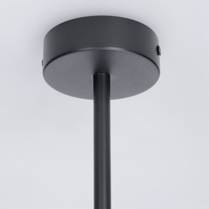 Brilagi - BRANCH 3xGU10/30W/230V Black Stem Pendant