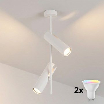 BRILAGI - BRANCH Dimmable LED RGBW Rod Pendant 2xGU10/6,5W/230V 2700-6500K White