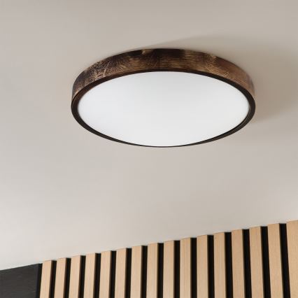Brilagi - CARVALHO SLIM SMOKEY ceiling light 3xE27/60W/230V, oak, Ø 47.5 cm