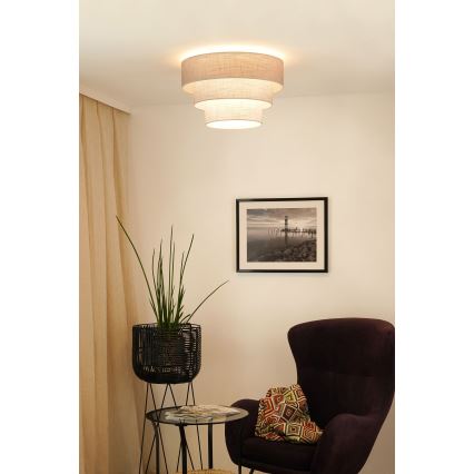 Brilagi - Ceiling light ALASKA LUNETA 1xE27/15W/230V d. 45 cm grey/creamy