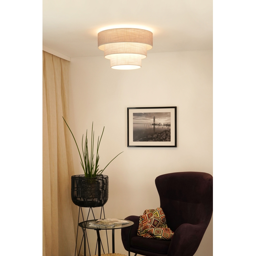 Brilagi - Ceiling light ALASKA LUNETA 1xE27/15W/230V d. 45 cm grey/creamy