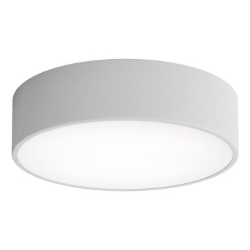 Brilagi - Ceiling light CLARE 2xE27/24W/230V d. 30 cm grey