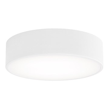 Brilagi - Ceiling light CLARE 2xE27/24W/230V d. 30 cm white