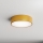 Brilagi - Ceiling light CLARE 2xE27/40W/230V d. 30 cm gold