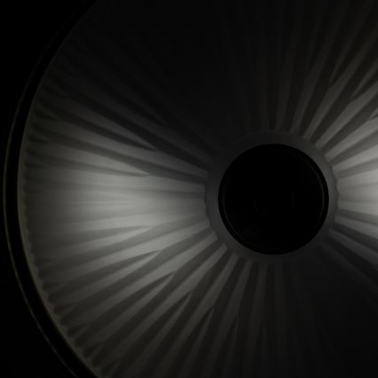 BRILAGI - Ceiling light FRESCO 2xE27/40W/230V Ø 28 cm brass