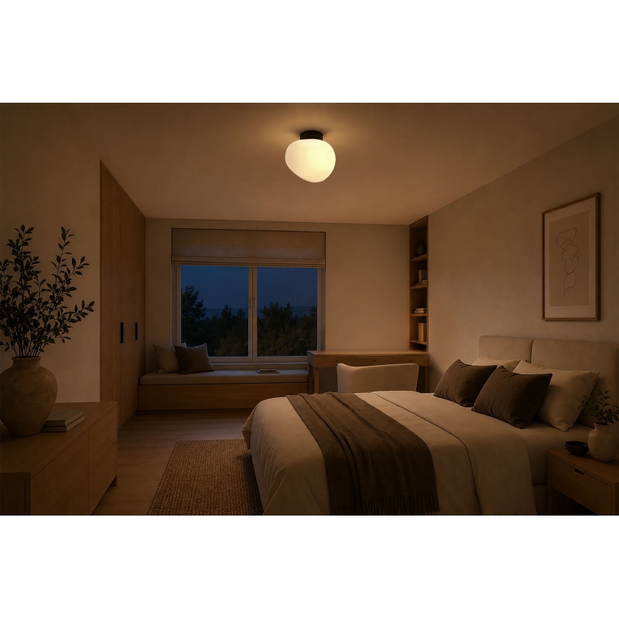 BRILAGI - Ceiling light PEBBLES 1xE27/40W/230V Ø 20 cm black