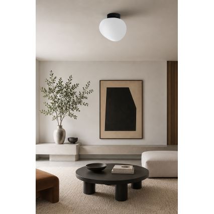 BRILAGI - Ceiling light PEBBLES 1xE27/40W/230V Ø 20 cm black