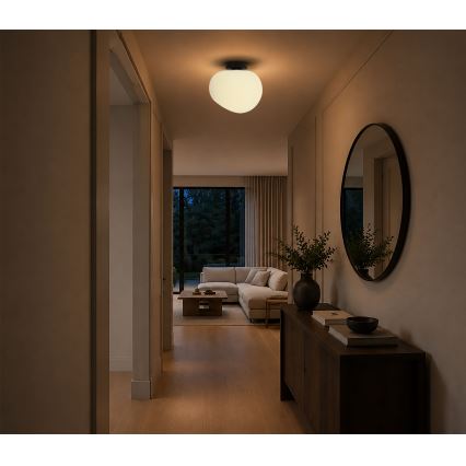 BRILAGI - Ceiling light PEBBLES 1xE27/40W/230V Ø 30 cm black