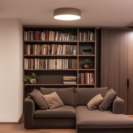 BRILAGI - Ceiling light POOL 4xE27/15W/230V Ø 50 cm IP54 beige