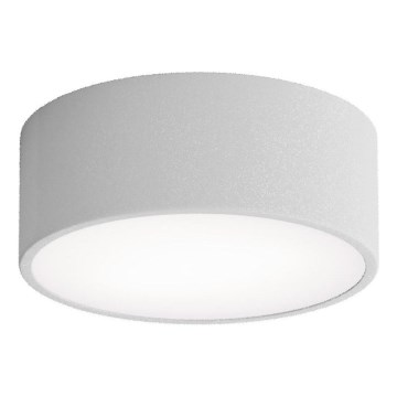 Brilagi - Ceiling light with sensor CLARE 1xE27/24W/230V d. 20 cm grey