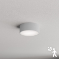Brilagi - Ceiling light with sensor CLARE 1xE27/40W/230V d. 20 cm grey