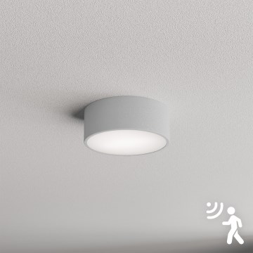 Brilagi - Ceiling light with sensor CLARE 1xE27/40W/230V d. 20 cm grey