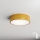 Brilagi - Ceiling light with sensor CLARE 2xE27/40W/230V d. 30 cm gold