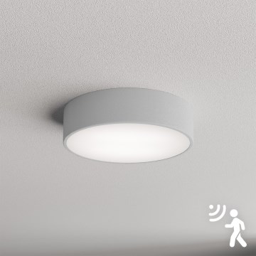 Brilagi - Ceiling light with sensor CLARE 2xE27/40W/230V d. 30 cm grey