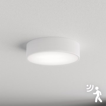 Brilagi - Ceiling light with sensor CLARE 2xE27/40W/230V d. 30 cm white