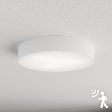 Brilagi - Ceiling light with sensor CLARE 3xE27/40W/230V d. 40 cm white