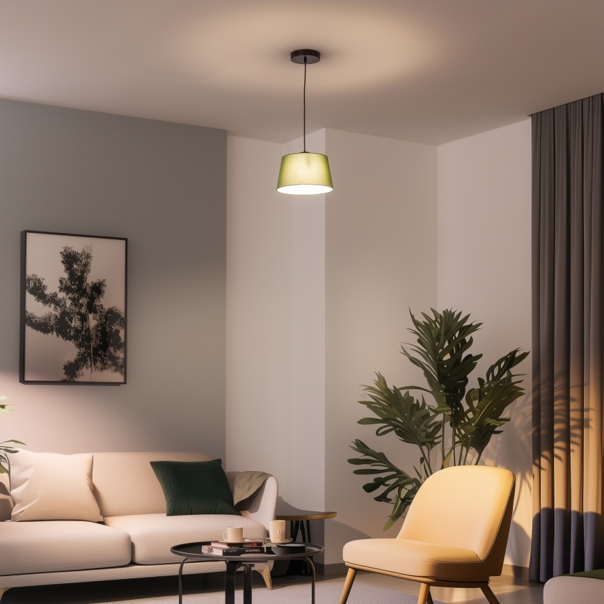 Brilagi - CERIA LED Pendant on Cable, 1x E27/40W/230V, Ø 25 cm, Green