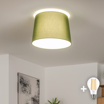 Brilagi - CERIA LED Surface-Mounted Ceiling Light 1x E27/40W/230V Ø30 cm Green