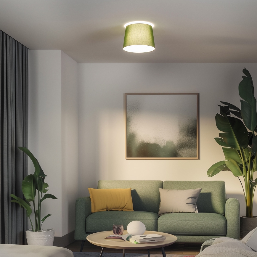 Brilagi - CERIA LED Surface-Mounted Ceiling Light 1x E27/40W/230V Ø30 cm Green