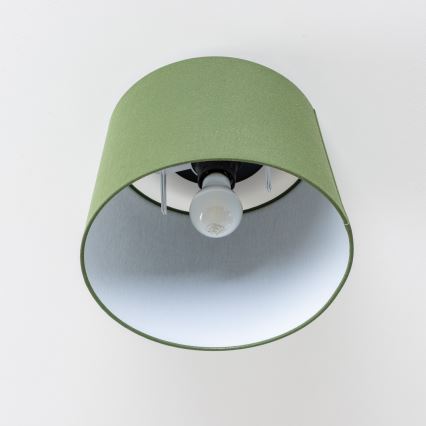 Brilagi - CERIA LED Surface-Mounted Ceiling Light 1x E27/40W/230V Ø30 cm Green