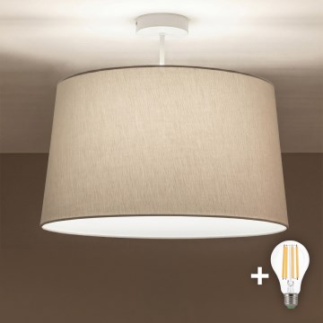 Brilagi - CERIA LED Surface-Mounted Ceiling Light 1x E27/60W/230V Ø 45 cm White/Grey