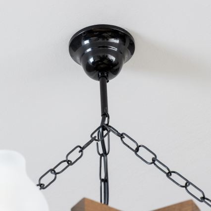 Brilagi - Chandelier on a chain QUEEN 6xE14/40W/230V beech/walnut