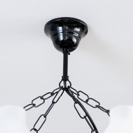 Brilagi - Chandelier on a chain QUEEN 8xE14/40W/230V beech/walnut