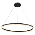 Brilagi - CIRCLE Cable-suspended Dimmable LED Pendant Lamp LED/55W/230V 3000-6500K Ø 80 cm Black + Remote Control