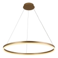 Brilagi - CIRCLE dimmable LED cable pendant LED/55W/230V 3000-6500K Ø 80 cm gold + remote control
